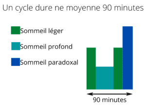 Comprendre Les Phases Du Sommeil Et Les Cycles