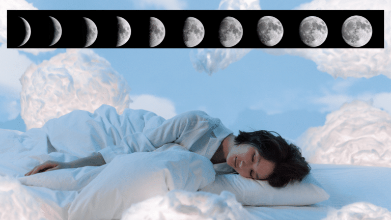 Les phases et cycles du sommeil
