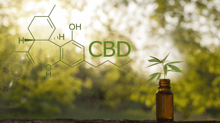 CBD et récepteurs cannabinoides