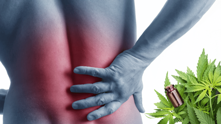 prendre du CBD arthrose et/ou mal de dos